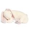 สินค้าตัวโชว์ - หมอนรองคลานกระต่ายน้อย Bunny & Baby